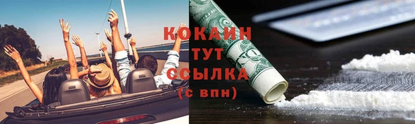 гидра Абаза