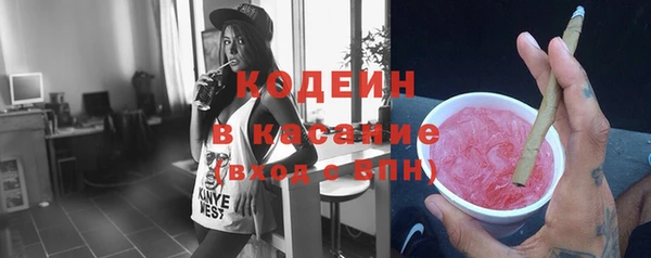 гидра Абаза
