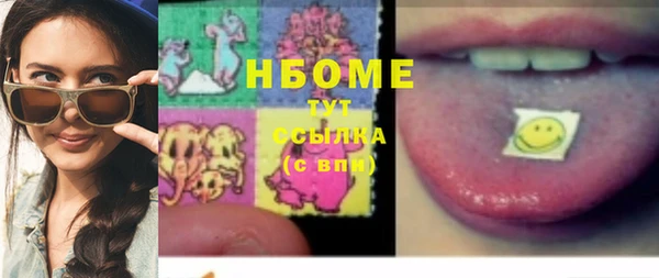 гидра Абаза