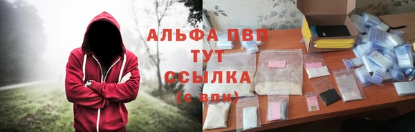 гидра Абаза