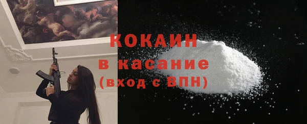 гидра Абаза