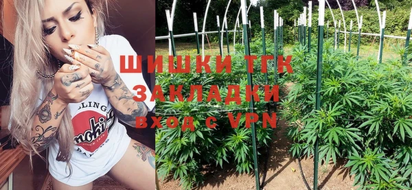 гидра Абаза