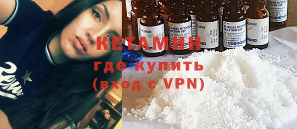 гидра Абаза