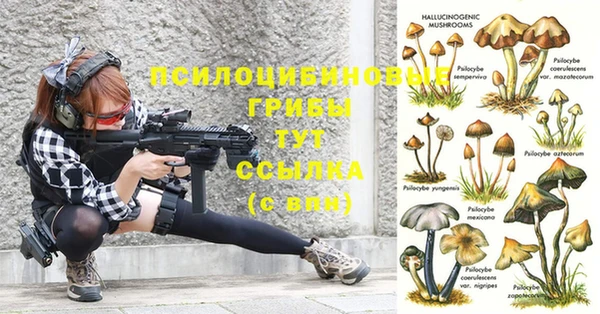 гидра Абаза